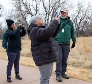 A woman capturing an image of a bird in a lush outdoor environment.
